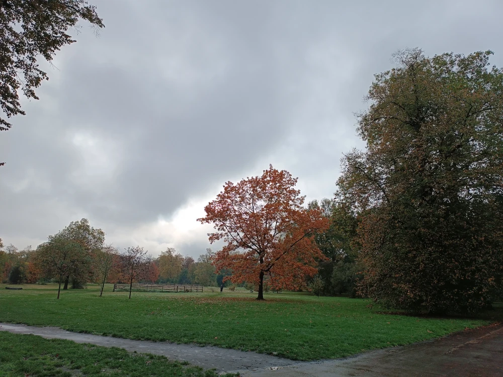 Paseo en Hyde Park, Londres