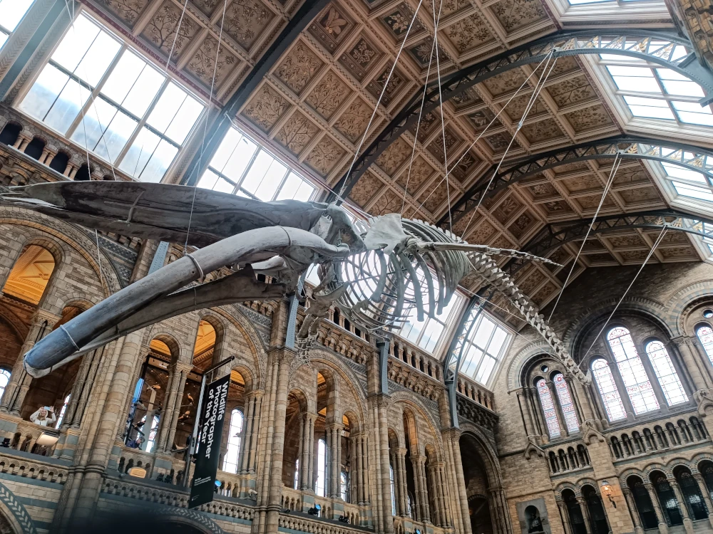 Hall principal del Museo de Historia Natural de Londres